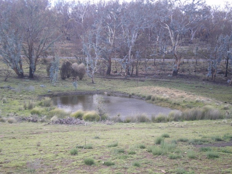 2143 Shannon’s Flat Rd, Cooma NSW 2630