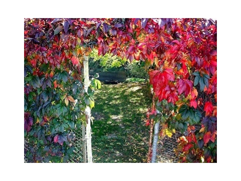 95 Church Rd, Cooma NSW 2630