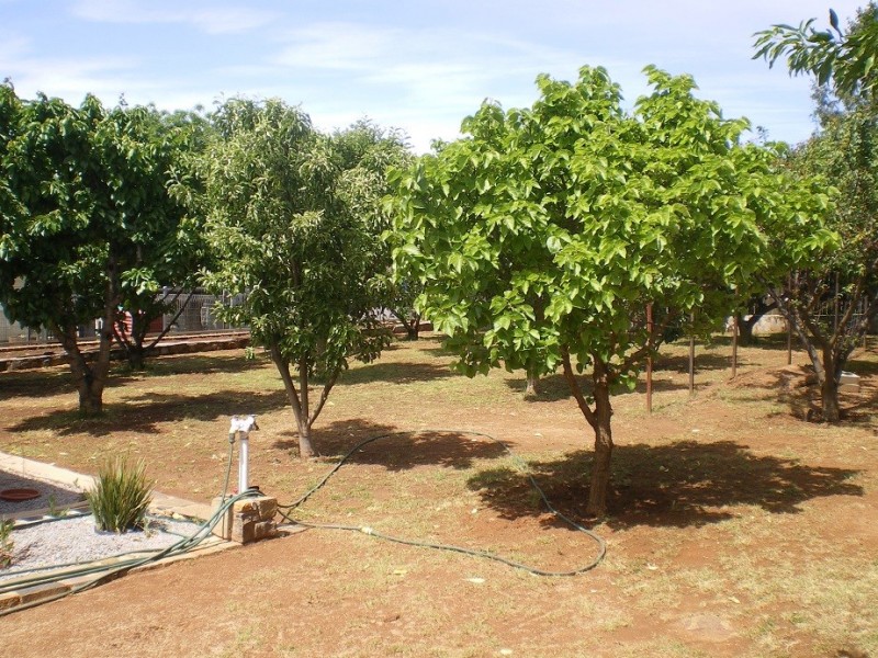 3 Kaling Place, Cooma NSW 2630