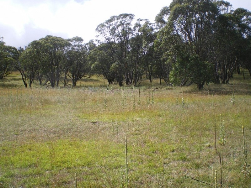 LOT 1 Nimmo Road, Eucumbene NSW 2628