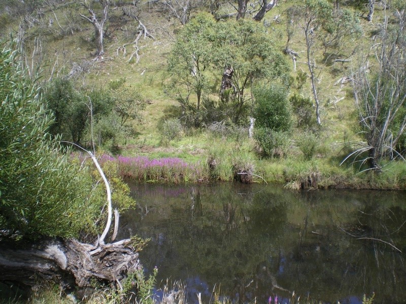 LOT 1 Nimmo Road, Eucumbene NSW 2628