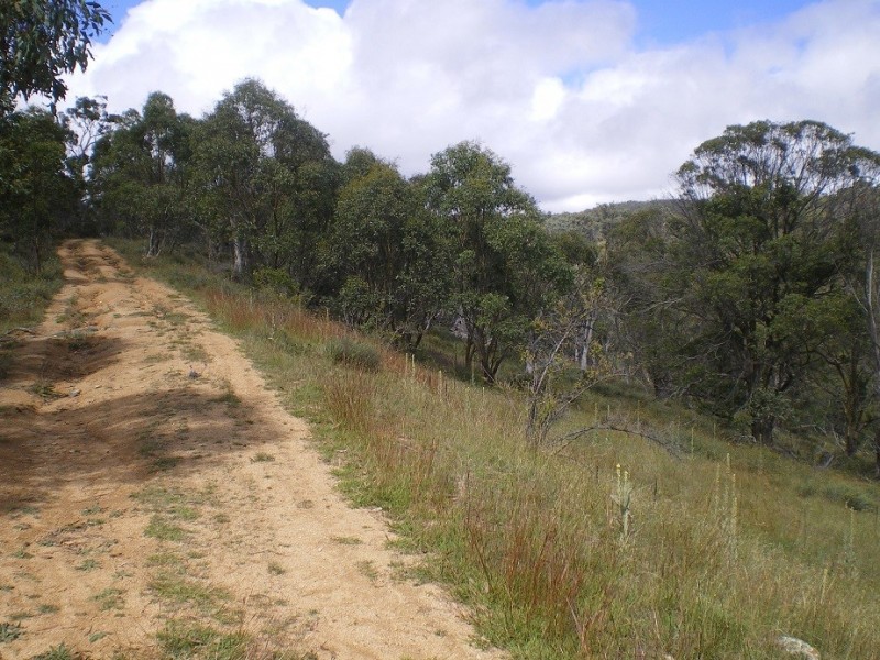 LOT 1 Nimmo Road, Eucumbene NSW 2628