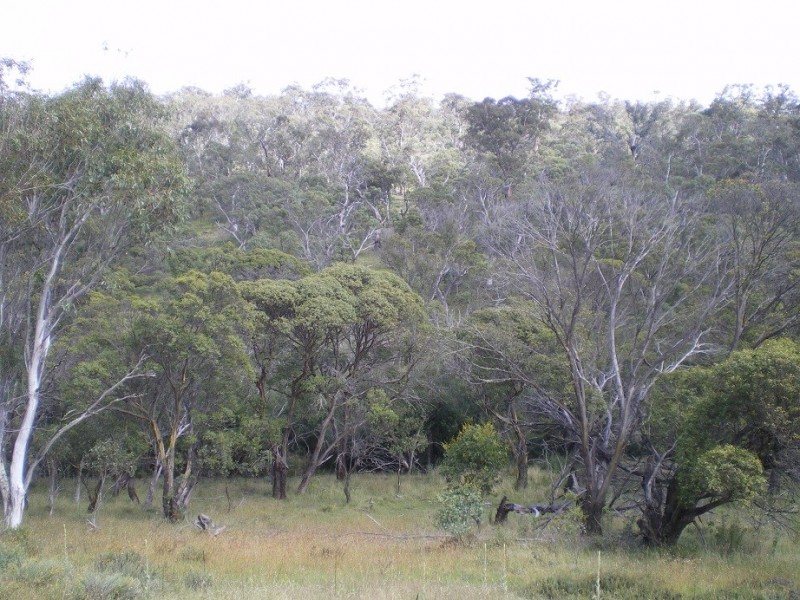 LOT 1 Nimmo Road, Eucumbene NSW 2628
