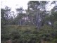 LOT 1 Nimmo Road, Eucumbene NSW 2628