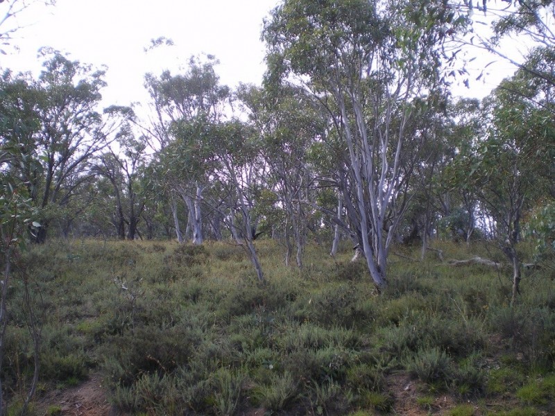 LOT 1 Nimmo Road, Eucumbene NSW 2628