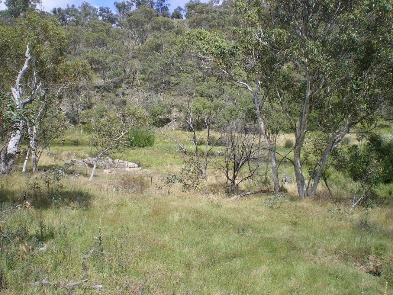 LOT 1 Nimmo Road, Eucumbene NSW 2628