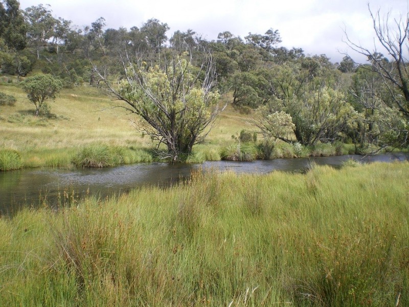 LOT 1 Nimmo Road, Eucumbene NSW 2628