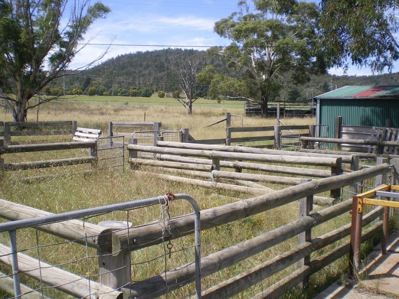 16 Alira Lane, Cooma NSW 2630