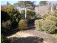 21 Buchan Pde, Cooma NSW 2630