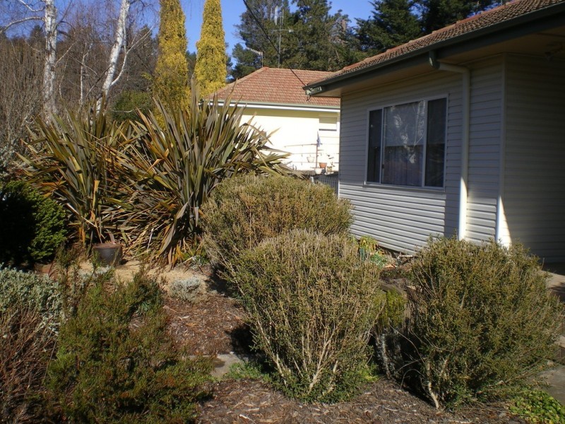 21 Buchan Pde, Cooma NSW 2630