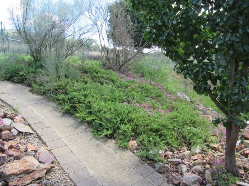 106 Maclean, Numeralla NSW 2630