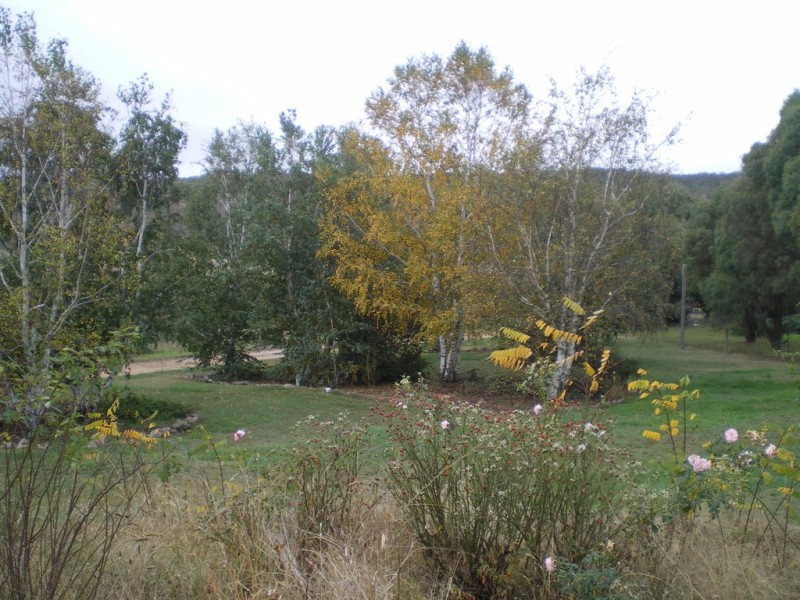 106 Maclean, Numeralla NSW 2630