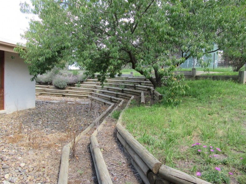 106 Maclean, Numeralla NSW 2630