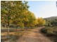 399 Stoney Creek Rd, Berridale NSW 2628