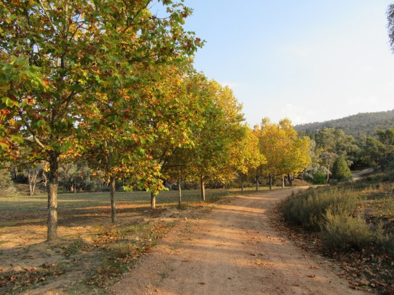 399 Stoney Creek Rd, Berridale NSW 2628