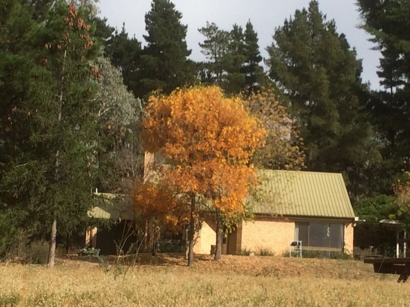 399 Stoney Creek Rd, Berridale NSW 2628