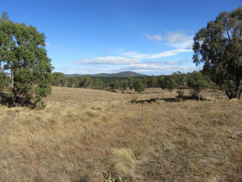 2874 Peak View Rd, Peak View NSW 2630