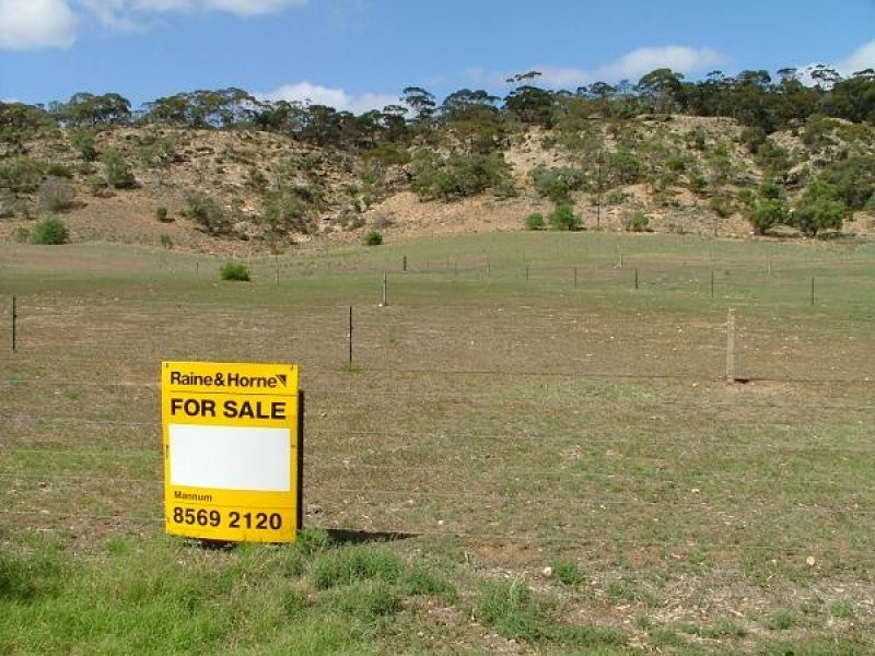 Lot 2 East Front Road Younghusband, Mannum SA 5238