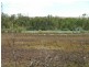 Lot 2 East Front Road Younghusband, Mannum SA 5238