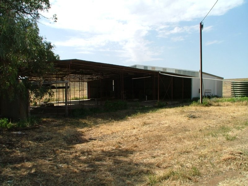 Lot 50 Hd Ridley, Teal Flat SA 5238