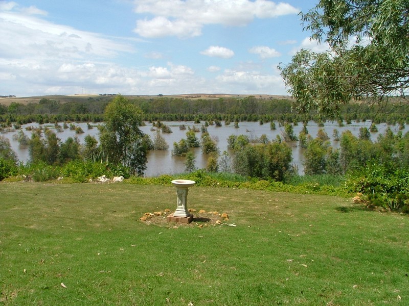 Lot 51 Purnong Road, Mannum SA 5238