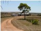 Lot 5 Dollard Avenue, Mannum SA 5238