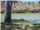 93 Randell Street, Mannum SA 5238