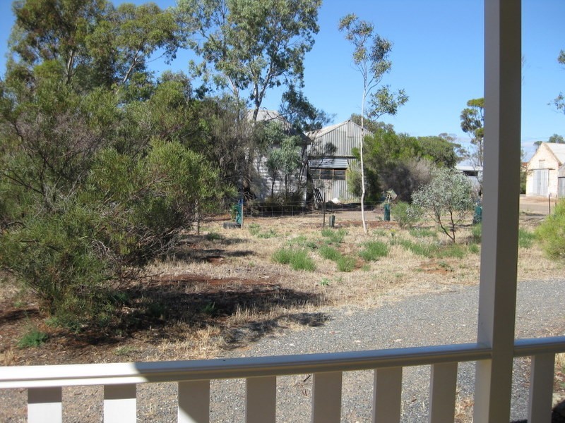 16  Skinner Street, Cambrai SA 5353