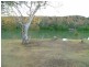 126 Providence Drive, Bowhill SA 5238
