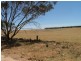 Section 39 Walker Flat Road, Copeville SA 5308