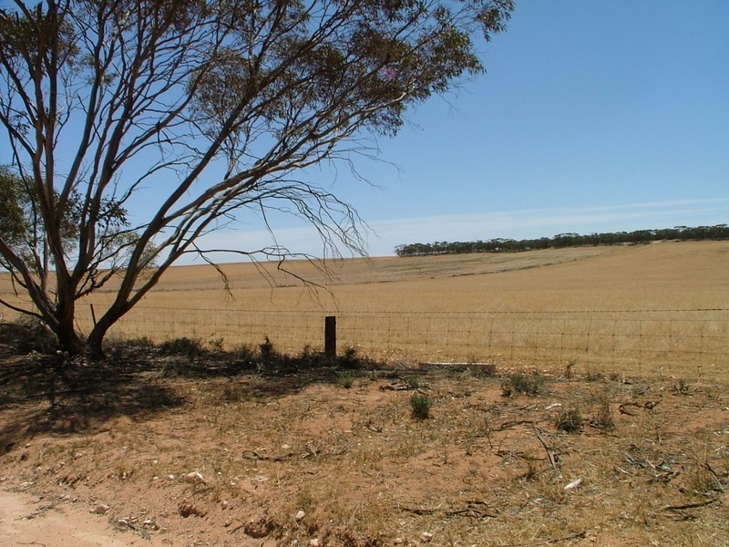 Section 39 Walker Flat Road, Copeville SA 5308