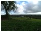 Lot 252 Conner Road, Swan Reach SA 5354