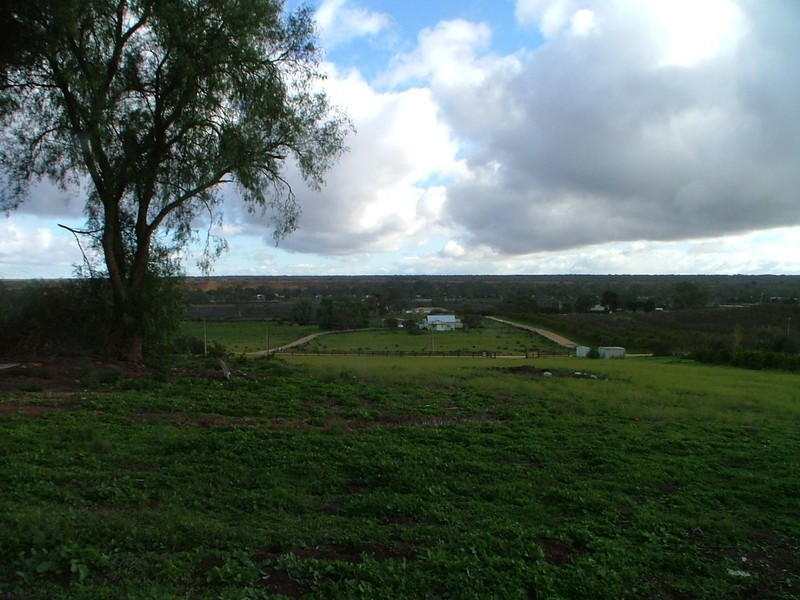 Lot 252 Conner Road, Swan Reach SA 5354