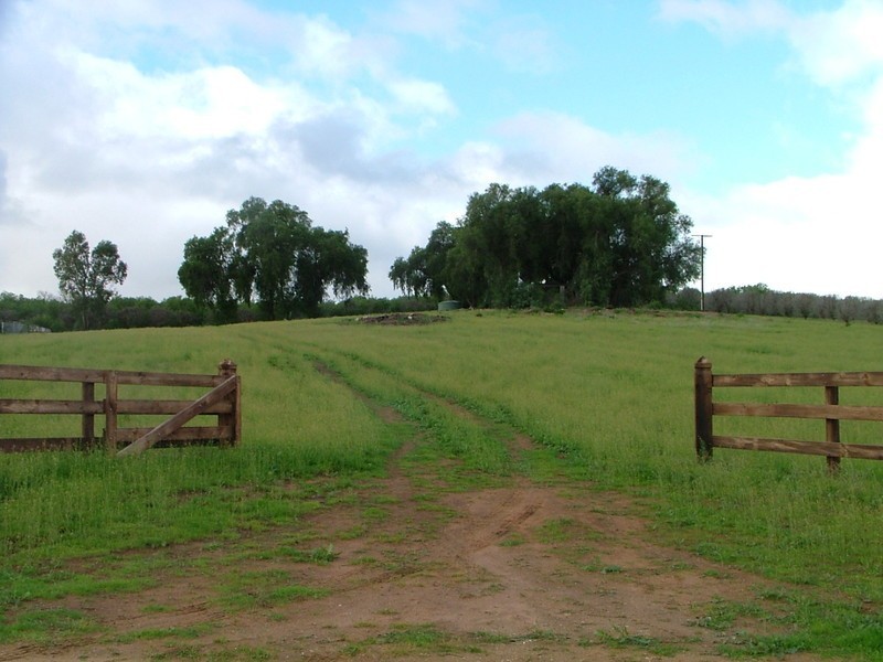 Lot 252 Conner Road, Swan Reach SA 5354