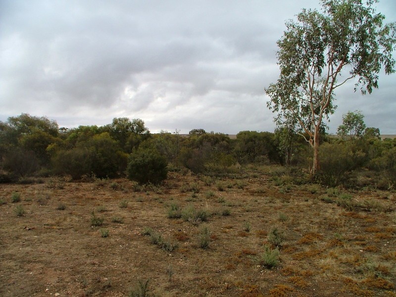 Section 490  Flood Road, Mannum SA 5238
