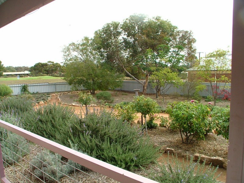 22 Randall Street, Mannum SA 5238