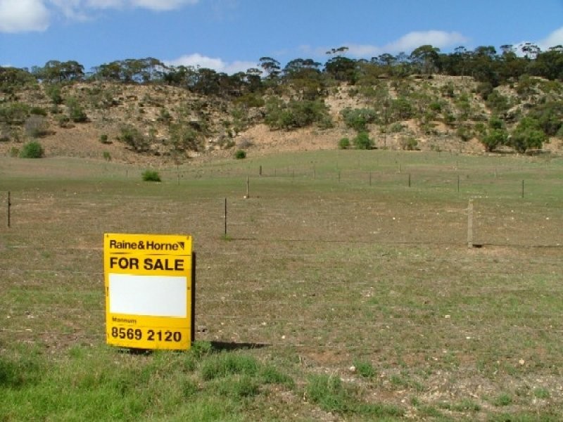 Lot 2 East Front Road Younghusband, Younghusband SA 5238