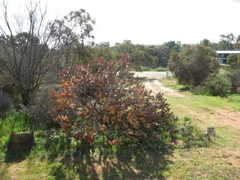 Sec 190 ,191 and 192 East Front Rd, COWIRRA VIA, Mannum SA 5238
