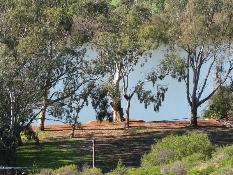 Lot 86 River Lane, Mannum SA 5238