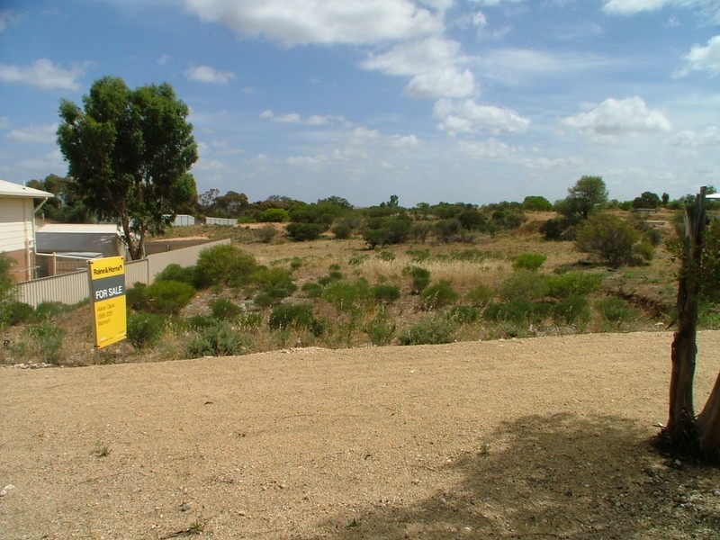 2 Wanke Road, Mannum SA 5238