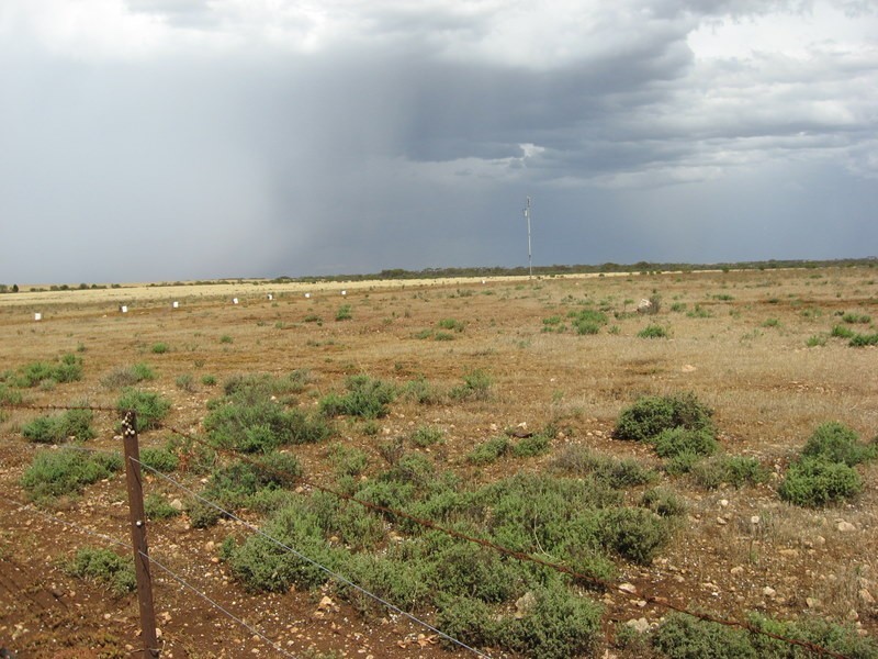 Sect 386 Burdett Road, Ponde SA 5238