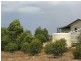 Sect 386 Burdett Road, Ponde SA 5238