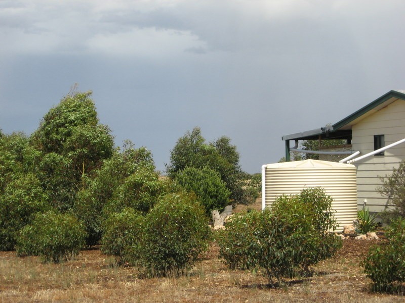 Sect 386 Burdett Road, Ponde SA 5238