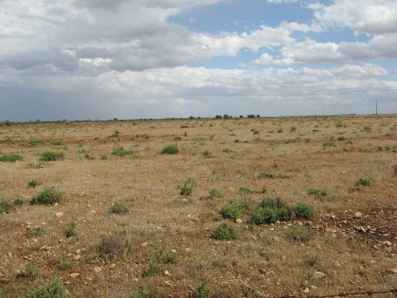 Section 386 Burdett Road, PONDE via, Mannum SA 5238