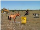 Section 493 Flood (Lenger) Road, Mannum SA 5238