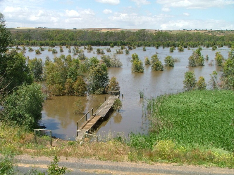 Lots 52 and 53 Purnong Road, Mannum SA 5238