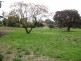 - Walker Ave and Diercks Rd, Mannum SA 5238