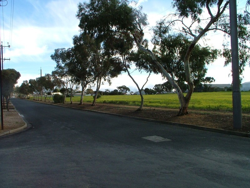 Lot 105 Elizabeth Street, Mannum SA 5238