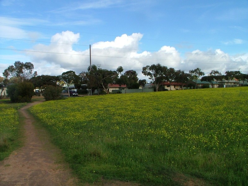 Lot 105 Elizabeth Street, Mannum SA 5238