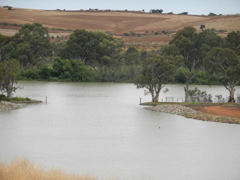 Mannum Waters Marina, Mannum SA 5238